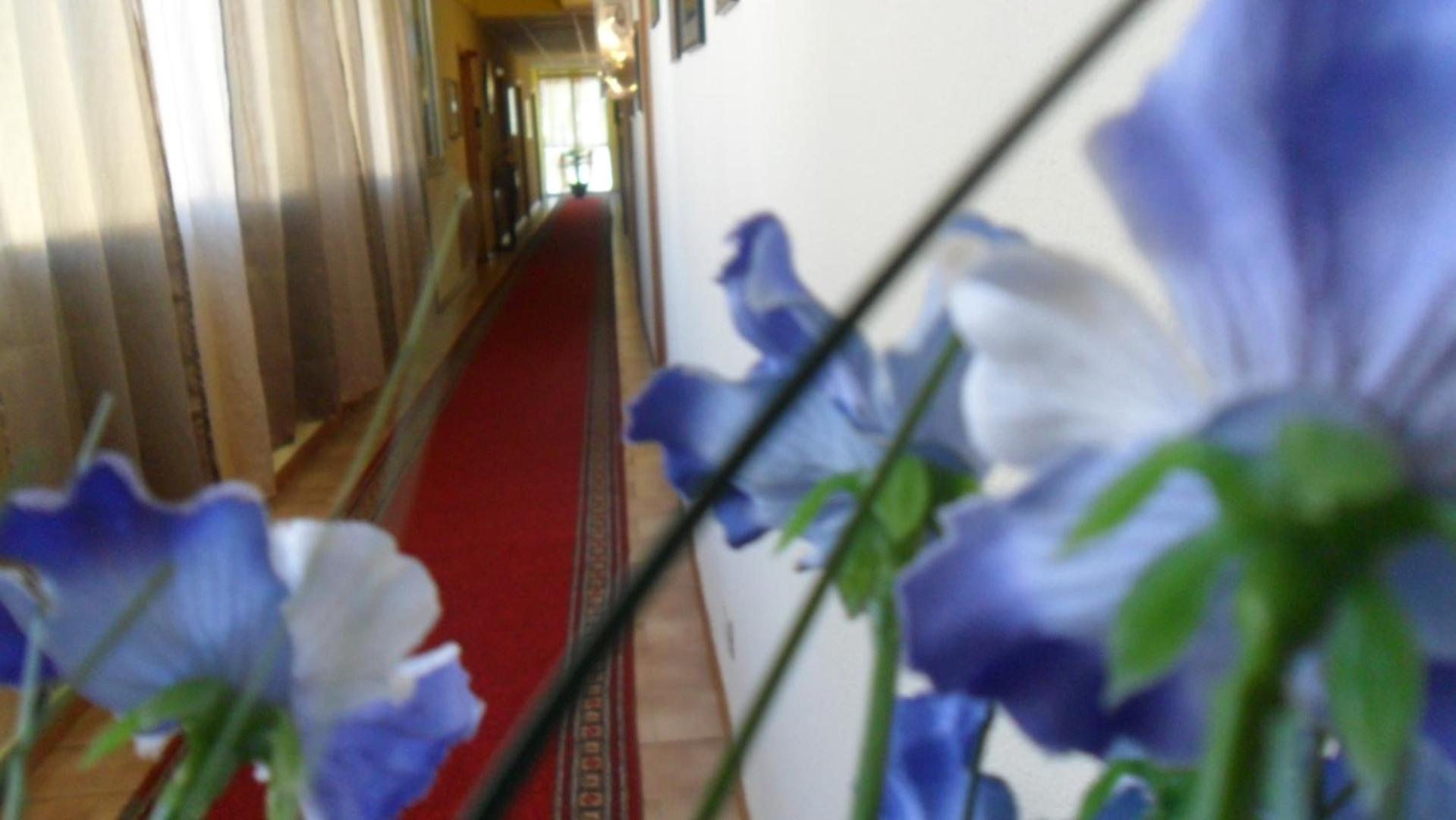 Hotel Nazionale Cervia Esterno foto